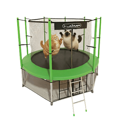 Аттракцион Спортивный батут